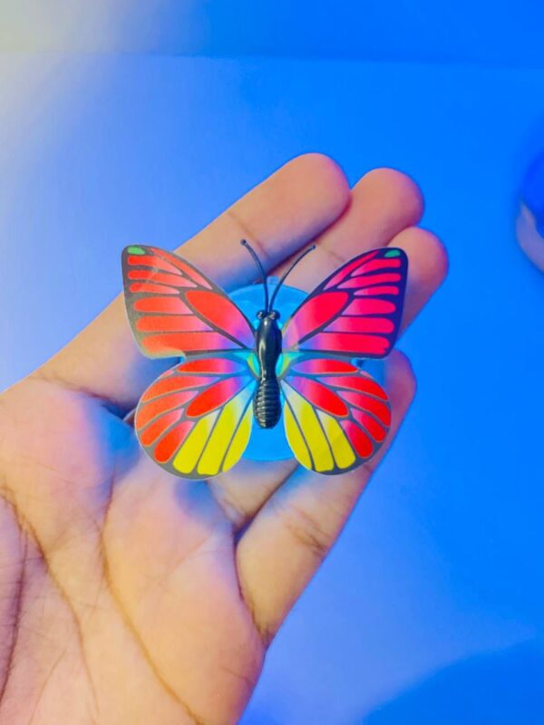 Butterfly Light